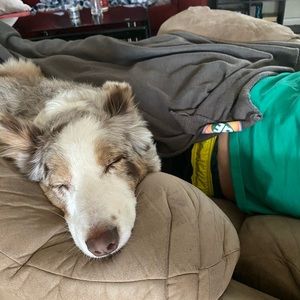 Meet your Posher, Dempsey